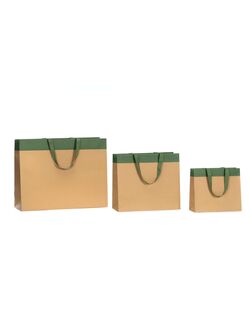 buste in carta avana con striscia verde e maniglie in grosgrain verdi